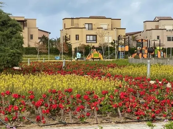 Family Villa