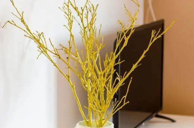 Standard Stüdyo, 1 Çift Kişilik Yatak, Balkon