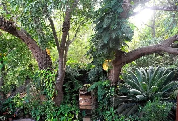 Garden Room