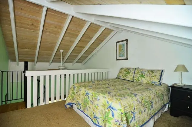 Çatı Katı (Loft), 1 Büyük (Queen) Boy Yatak, Okyanus Manzaralı (Frenchman's Bay)