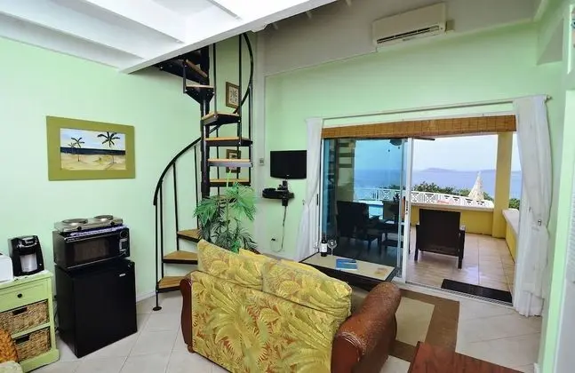 Çatı Katı (Loft), 1 Büyük (Queen) Boy Yatak, Okyanus Manzaralı (Frenchman's Bay)