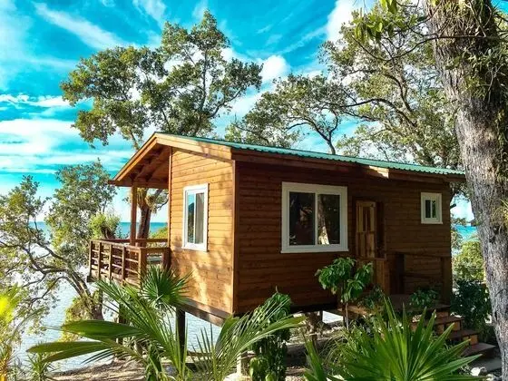 Luxury Ağaç Ev, 1 En Büyük (King) Boy Yatak, Deniz Manzaralı