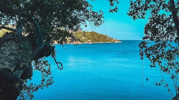 Luxury Ağaç Ev, 1 En Büyük (King) Boy Yatak, Deniz Manzaralı