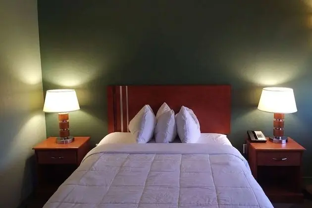 Junior Süit, 1 En Büyük (King) Boy Yatak, Engellilere Uygun (Mobility,Tub w/Grab Bars)