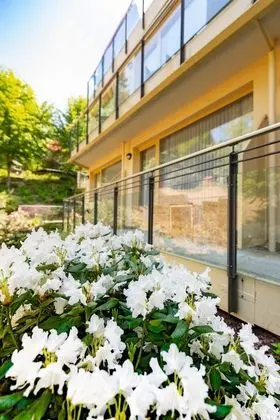 Junior Süit, Bahçe Manzaralı