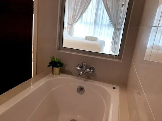 Deluxe Apart Daire, 1 Yatak Odası, Şehir Manzaralı