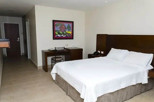 Deluxe Tek Büyük Yataklı Oda, 1 Büyük (Queen) Boy Yatak