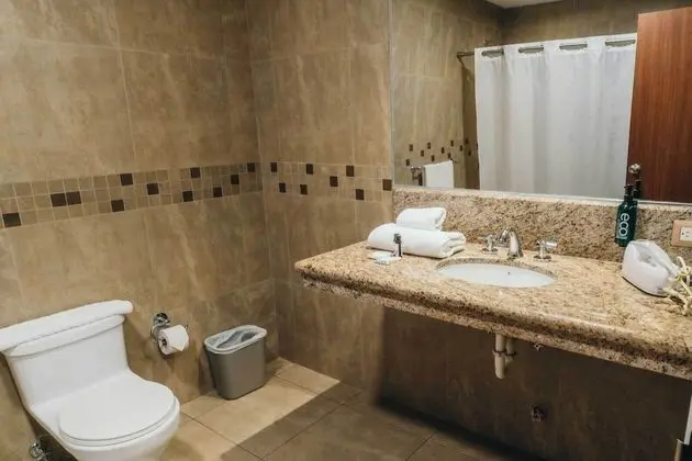 Deluxe Tek Büyük Yataklı Oda, 1 Büyük (Queen) Boy Yatak