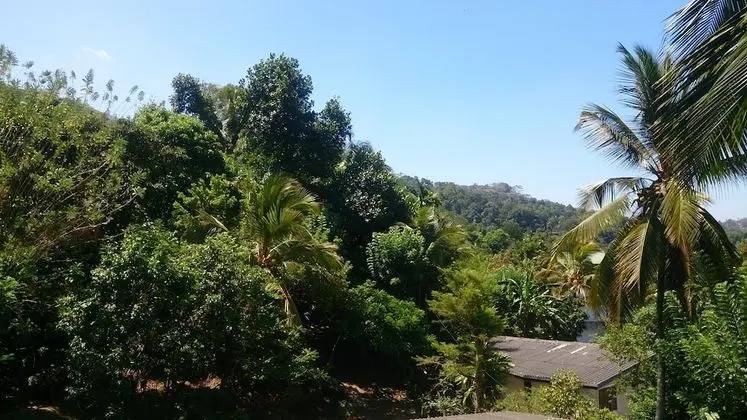 Standard Üç Kişilik Oda, 1 Yatak Odası, Bahçe Manzaralı