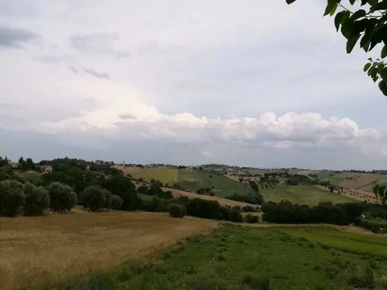 Deluxe Üç Kişilik Oda, Tepe Manzaralı