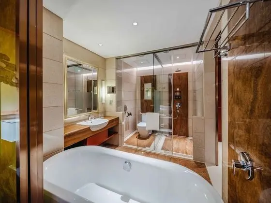 Deluxe İki Ayrı Yataklı Oda (Smoking and non-smoking)