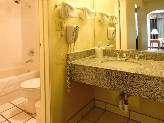 Standard Oda, Sigara İçilmez, Havuz Manzaralı