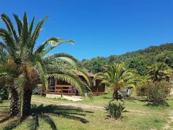 Comfort Tek Büyük Yataklı Oda, Bahçe Manzaralı