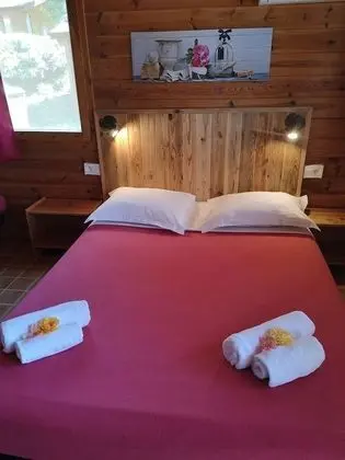 Comfort Tek Büyük Yataklı Oda, Bahçe Manzaralı