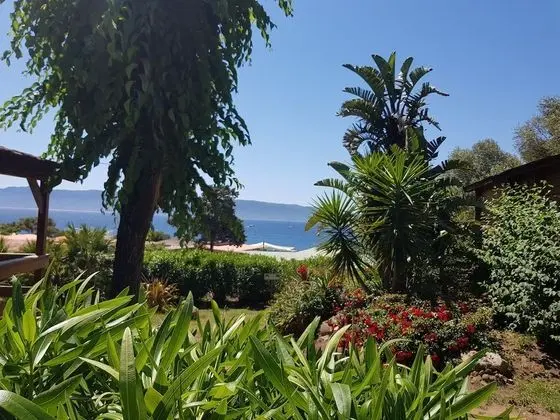 Comfort Tek Büyük Yataklı Oda, Bahçe Manzaralı