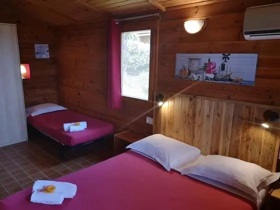 Comfort Üç Kişilik Oda, Bahçe Manzaralı