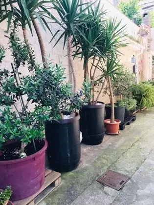 Apart Daire (Mare - near city center - A1 (4+2))