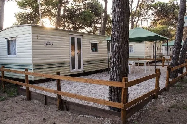 Basic Karavan, 2 Yatak Odası