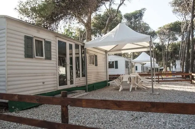 Basic Karavan, 2 Yatak Odası