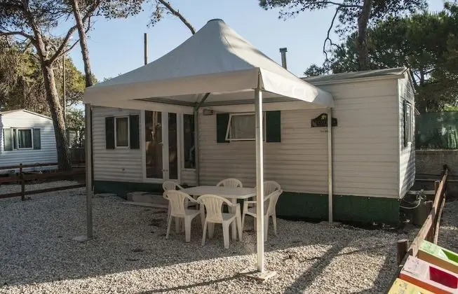 Basic Karavan, 2 Yatak Odası