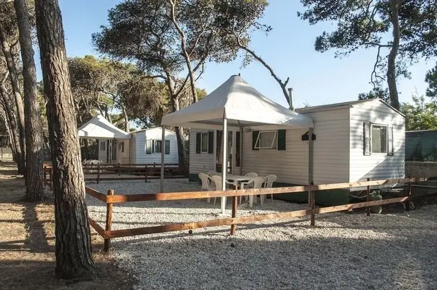 Basic Karavan, 2 Yatak Odası