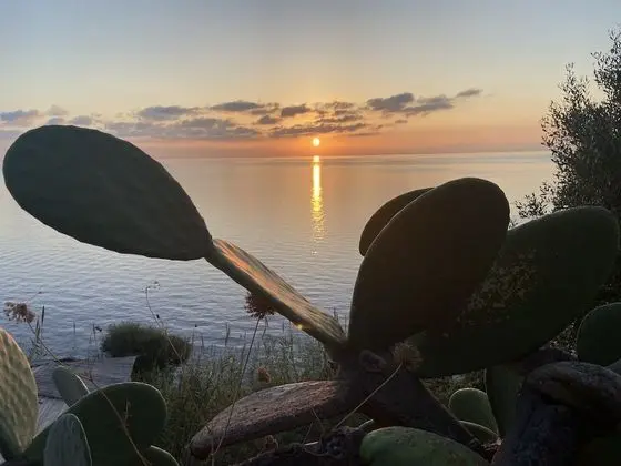Villa, 3 Yatak Odası, Teras