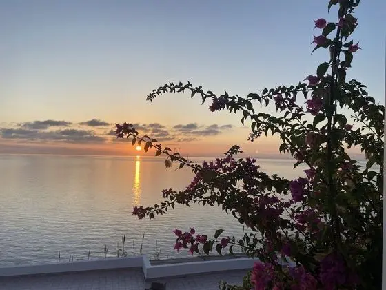 Villa, 3 Yatak Odası, Teras