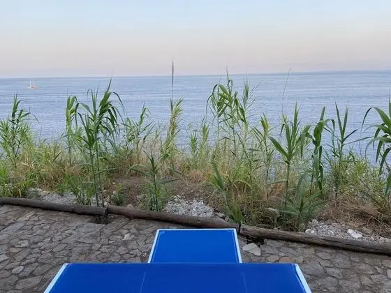 Villa, 3 Yatak Odası, Teras