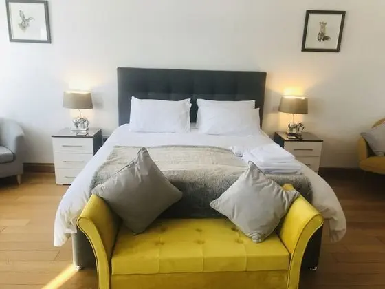 Deluxe Tek Büyük Yataklı Oda