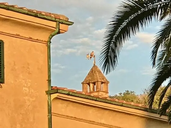 Villa, Sigara İçilebilir