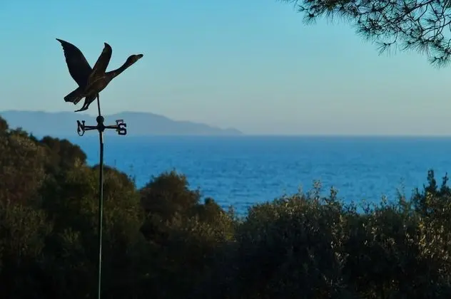 Villa, Sigara İçilebilir