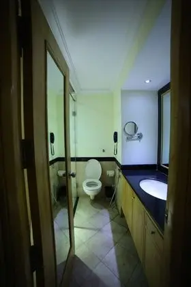 Executive Tek Kişilik Oda, Şehir Manzaralı