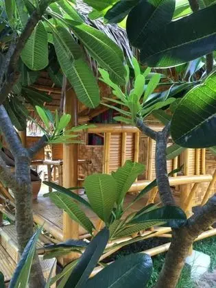 Family Bungalov
