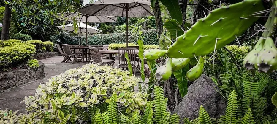 Honeymoon Tek Büyük Yataklı Oda, Şömine, Bahçe Manzaralı