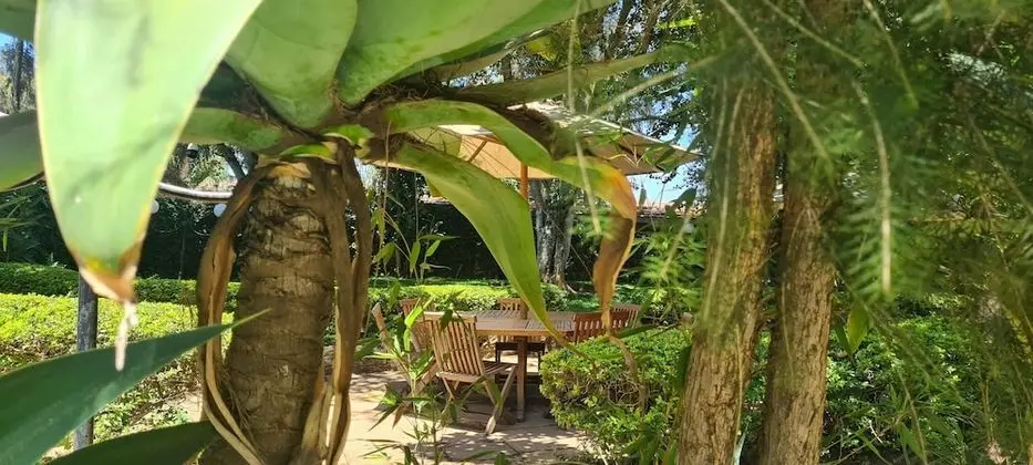 Tek Kişilik Oda, Bahçe Manzaralı