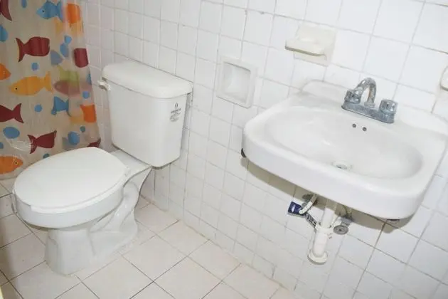 Standard Oda