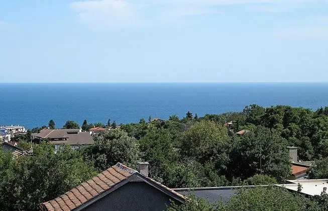 Çift ​​kişilik Standard