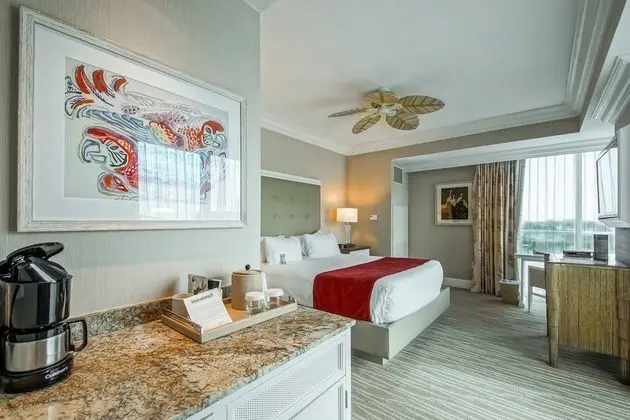 Deluxe Oda, 1 En Büyük (King) Boy Yatak, Sigara İçilmez, Şehir Manzaralı