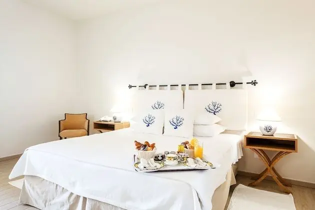 Executive Tek Büyük Yataklı Oda