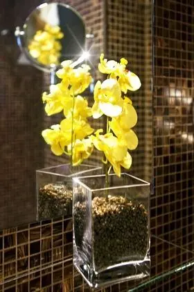 Tek Büyük Yataklı Oda, Küçük Mutfak