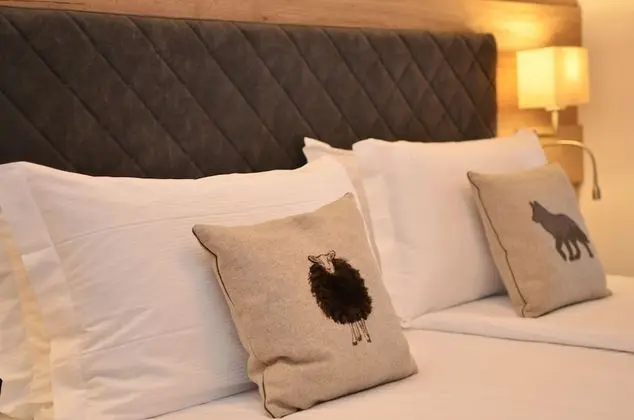 Superior Tek Büyük veya İki Ayrı Yataklı Oda, Balkon, Dağ Manzaralı