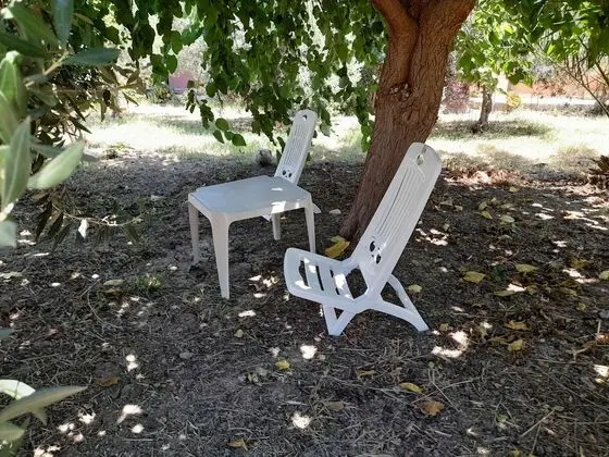 Apart Daire, 1 Büyük (Queen) Boy Yatak ve Çekyat
