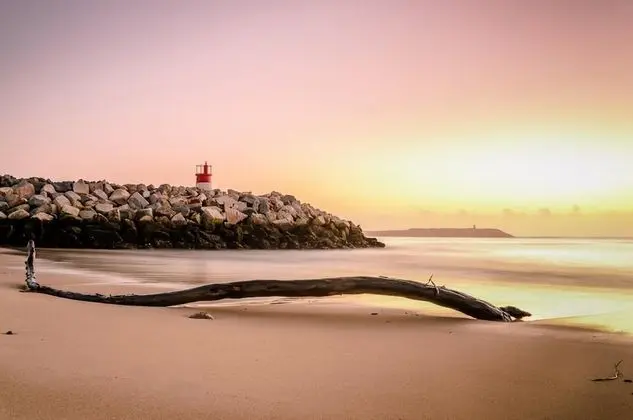 Apart Daire, Engellilere Uygun