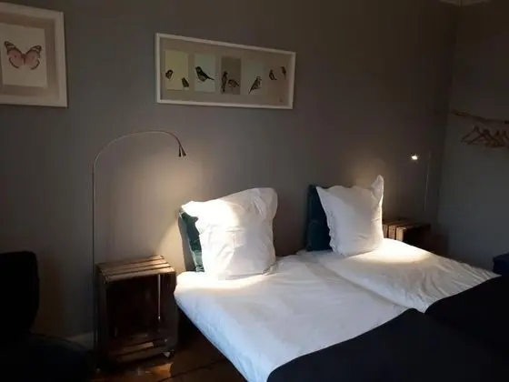 Comfort Tek Büyük Yataklı Oda, Bahçe Manzaralı