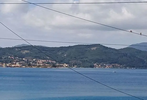 Basic Stüdyo, Deniz Manzaralı