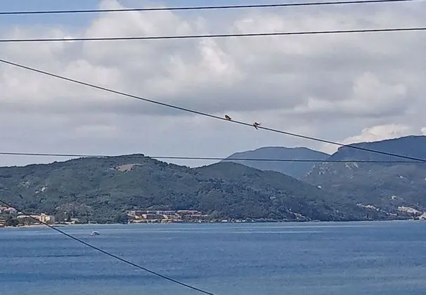 Basic Stüdyo, Deniz Manzaralı
