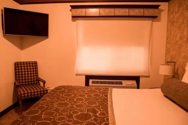 Luxury Süit, 1 Çift Kişilik Yatak ve Çekyat, Küçük Mutfak