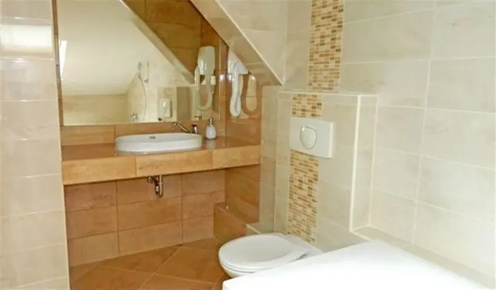 Tek Büyük veya İki Ayrı Yataklı Oda, Özel Banyo (Attic)