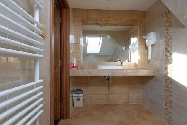 Tek Büyük veya İki Ayrı Yataklı Oda, Özel Banyo (Attic)