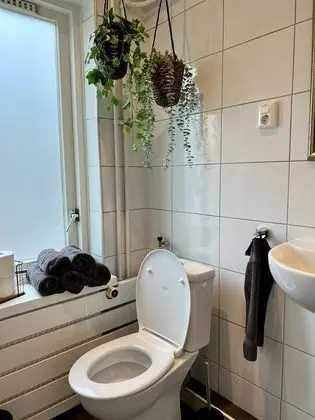 Deluxe Stüdyo Süit